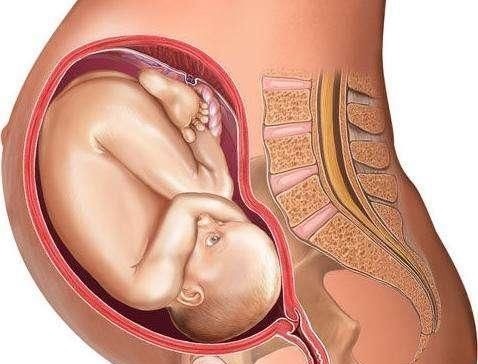 第三产程|顺产宝宝是怎么“生”的一组图带你了解全过程，妈妈其实不孤单