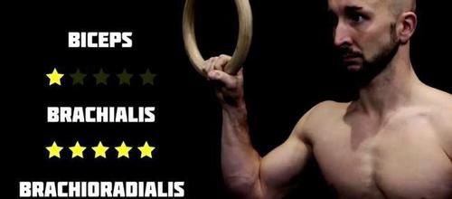 肱二头肌|关于正手vs反手引体向上，该怎么选择的问题，都有哪些肌肉参与？