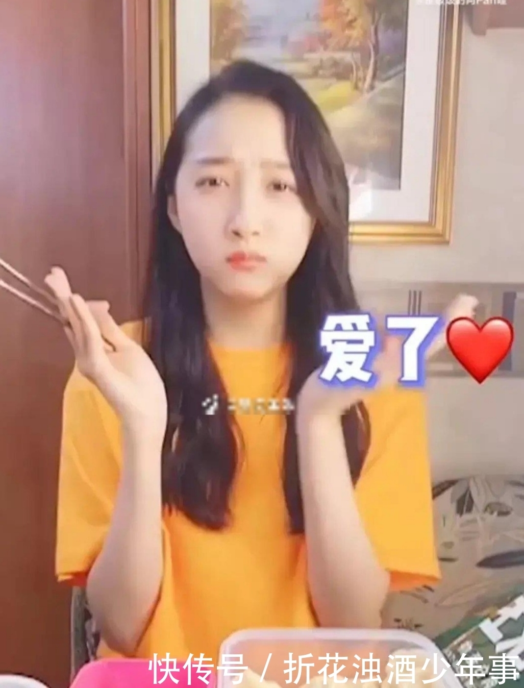 优质蛋白|关晓推荐植物肉