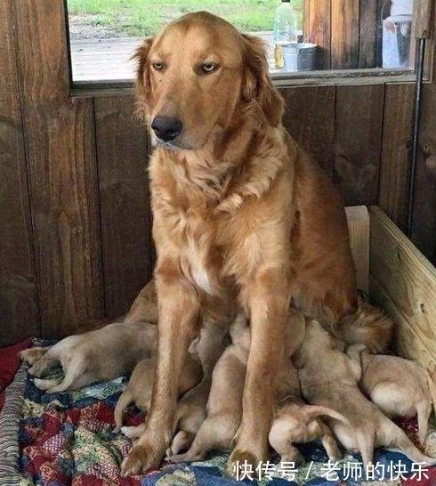 |搞笑趣图段子:妹子把筷子当吸管?