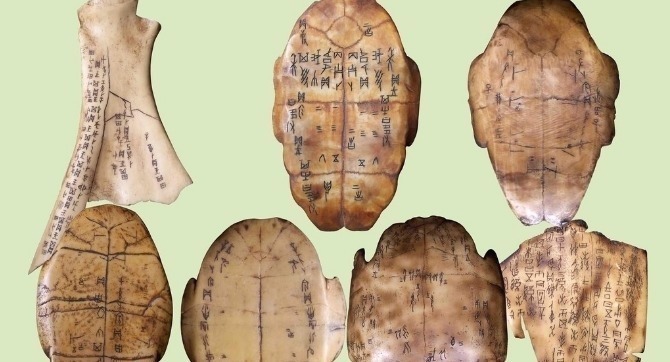 古文!他用甲骨文写高考作文,得6分却被985大学录取,如今怎样了