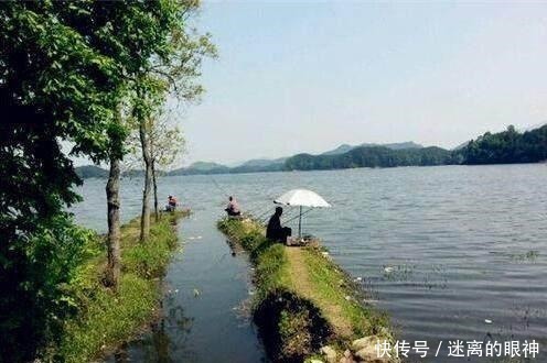 鲫鱼|春天来了,大鲫鱼喜欢藏在这些位置,这些地方下竿一钓一个准!