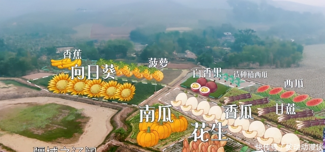 《向往》干活再遭质疑,前有挖藕后有种树,网友:哇偶,当我们瞎