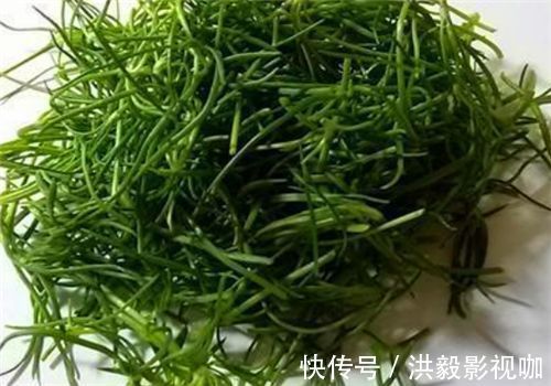 人到中年|人到中年想要身體好，常吃4種食物，降壓減脂，抗衰老，早吃早好