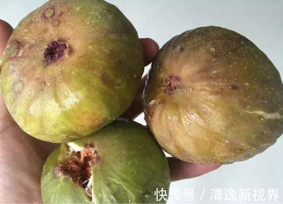 阳台种水果,行家都选4种,简单好养活,爱长果子,边摘边吃!