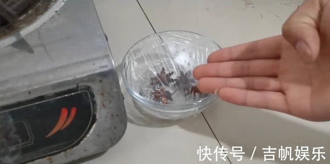 白醋里放几粒八角泡一泡,解决了家家户户的难题,真实用学学吧!