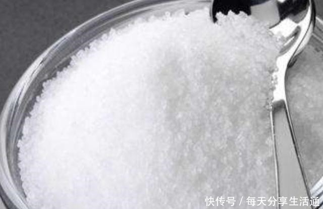 柳树发芽季,自制柳枝生根水,扦插生根快,省钱又实用!