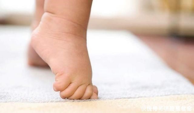 妈妈|家中惊现“四脚神兽”,妈妈称要被萌化了,网友一看却提心吊胆!