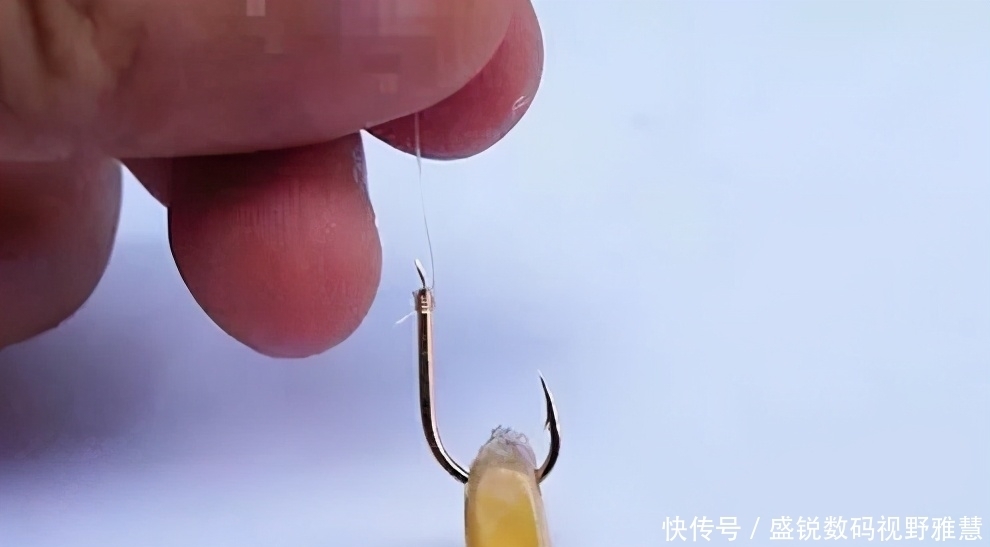 挂、穿、粘,弄明白鱼饵的三种挂钩方法,再也不担心饵团脱钩了