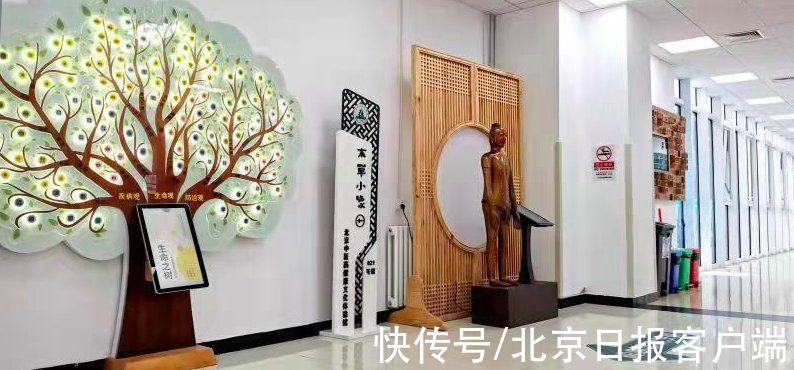 怀柔区中医医院|怀柔中医医院建成“本草小象中医药文化体验馆”，向公众开放