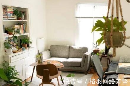 黄叶|绿萝又黄叶了, 这样一处理, 又是绿油油的一盆!
