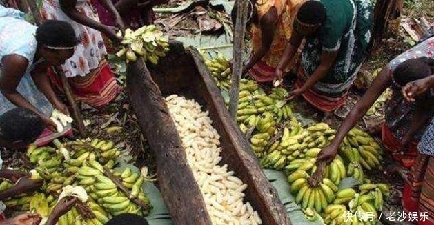 用来|非洲“最大的香蕉”,不但可以煮着吃,还能用来酿酒呢