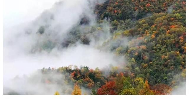 太白县|陕西的避暑县城，盛夏平均气温仅19度，被誉为“天然空调城”