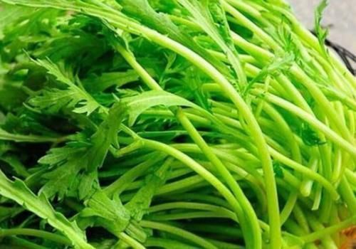 茼蒿素|此物是痛风的“克星”,每天吃点,可降低体内嘌呤含量,预防痛风