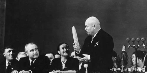 种植|从3%到1/6，赫鲁晓夫疯狂推广玉米种植，却加重了苏联的饥荒