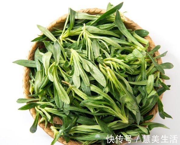 小根|65种野菜图片，带你认识不同的野菜和吃法，你想要的野菜这里都有