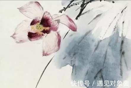 花骨朵儿@王雪涛笔下的荷花