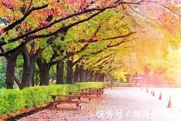 红茶|最容易生病的季节到了！牢记“3不吃，4不做，5相伴”