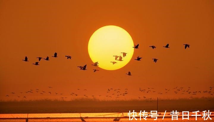 初唐四杰@杜甫骂人最狠的一句诗,有文化的雅骂果然不一样,耐人寻味!