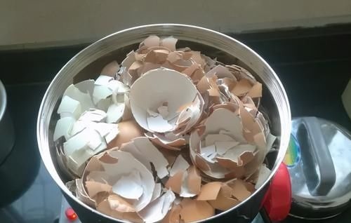 拿到蛋壳别急着养花，按“这要求”处理，给植物施肥才不出问题