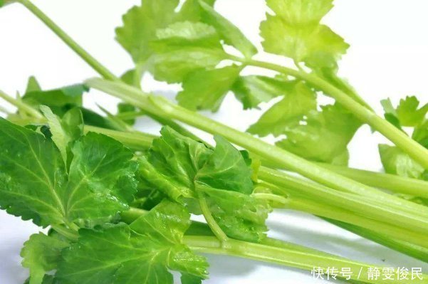 甲鱼|芹菜的“死对头”,两者不能一起吃,尤其最后一种,早知道早受益