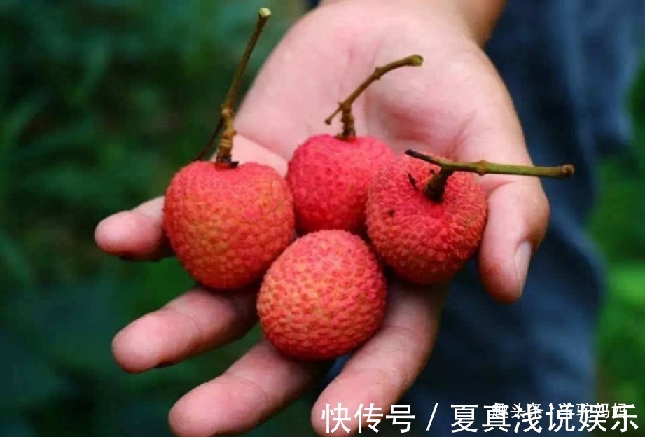 荔枝|怀胎十月,孕妈要做到“水果4不吃”,并非瞎讲究而是在保护胎儿