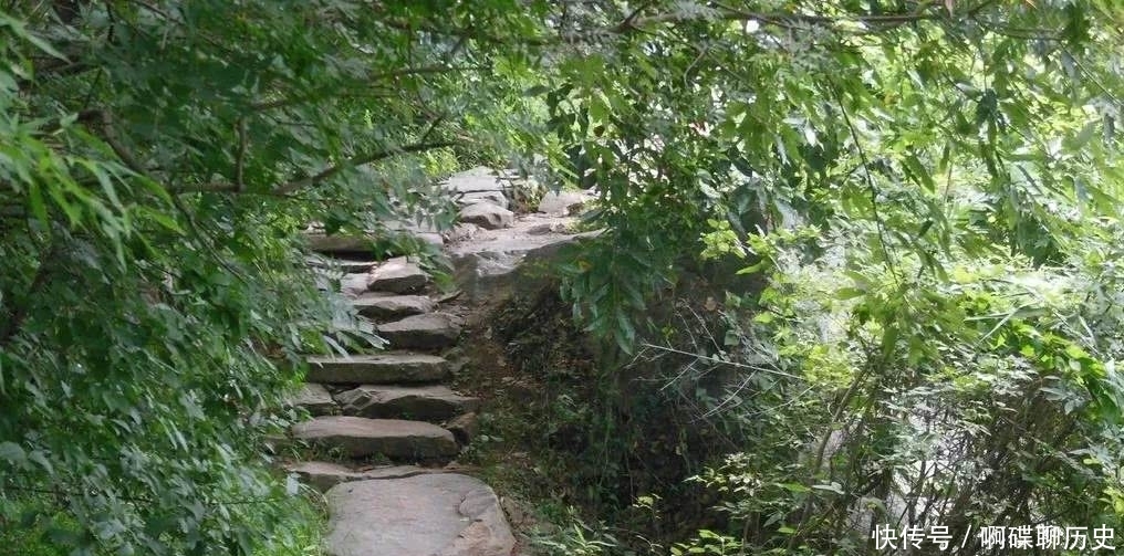 古诗词|舒优良古诗词小辑