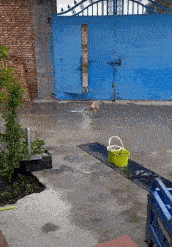 |搞笑GIF段子:和朋友几个一起烧烤,一个朋友喝多了