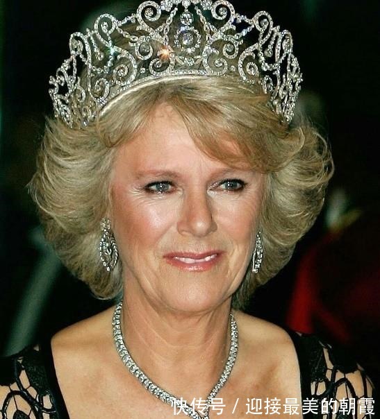 蛇形项链 卡米拉的蛇形项链20年前做情人时查尔斯送的,蛇蝎气质一目了然