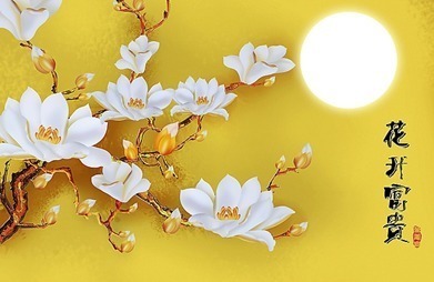 富贵|未来20天,福星照耀!4类人有贵人点拨,事业爆旺,富贵吉祥