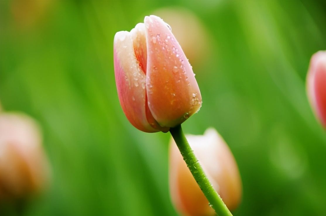 病态|真正聪明的人，与人打交道时，不说以下五种话