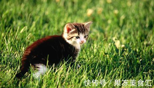 |幽默笑话：昨天跟老板秘书闹的不愉快，第二天我就被开除了