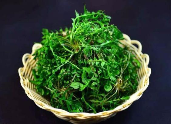 养生|聪明的人爱吃3种食物,美容养生、延缓衰老,早吃早健康!