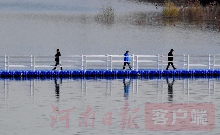 湿地|陆浑湖湿地——鸟儿的乐园