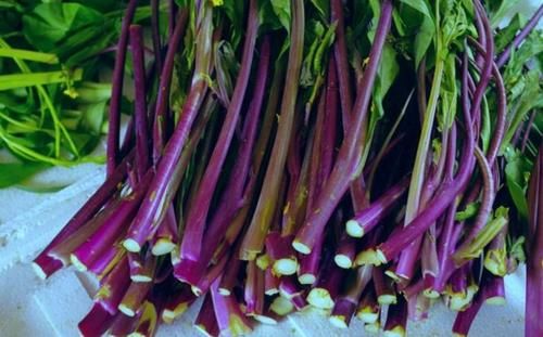 护肝明目|好食物吃出好身体，3种食物不可少，护肝明目，有益健康！