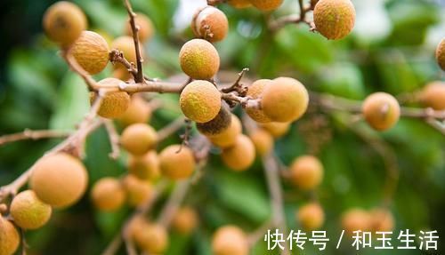 内分泌功能紊乱|受失眠折磨已久?或许可以试试这4个应对方法,让你一夜好眠