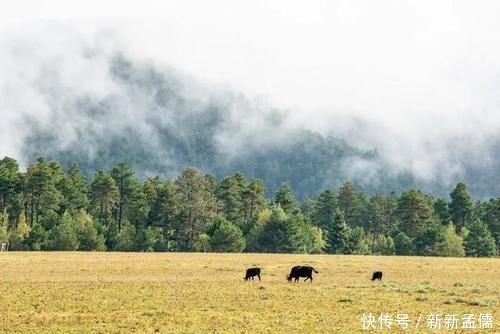 太阳鸟|没去过“三江并流”？你可能错过了“半个地球”