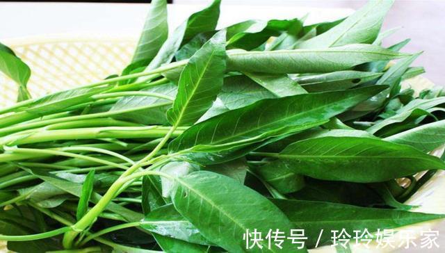 做法|空心菜6种最好吃的做法，每种都简单美味，看看你喜欢吃哪种