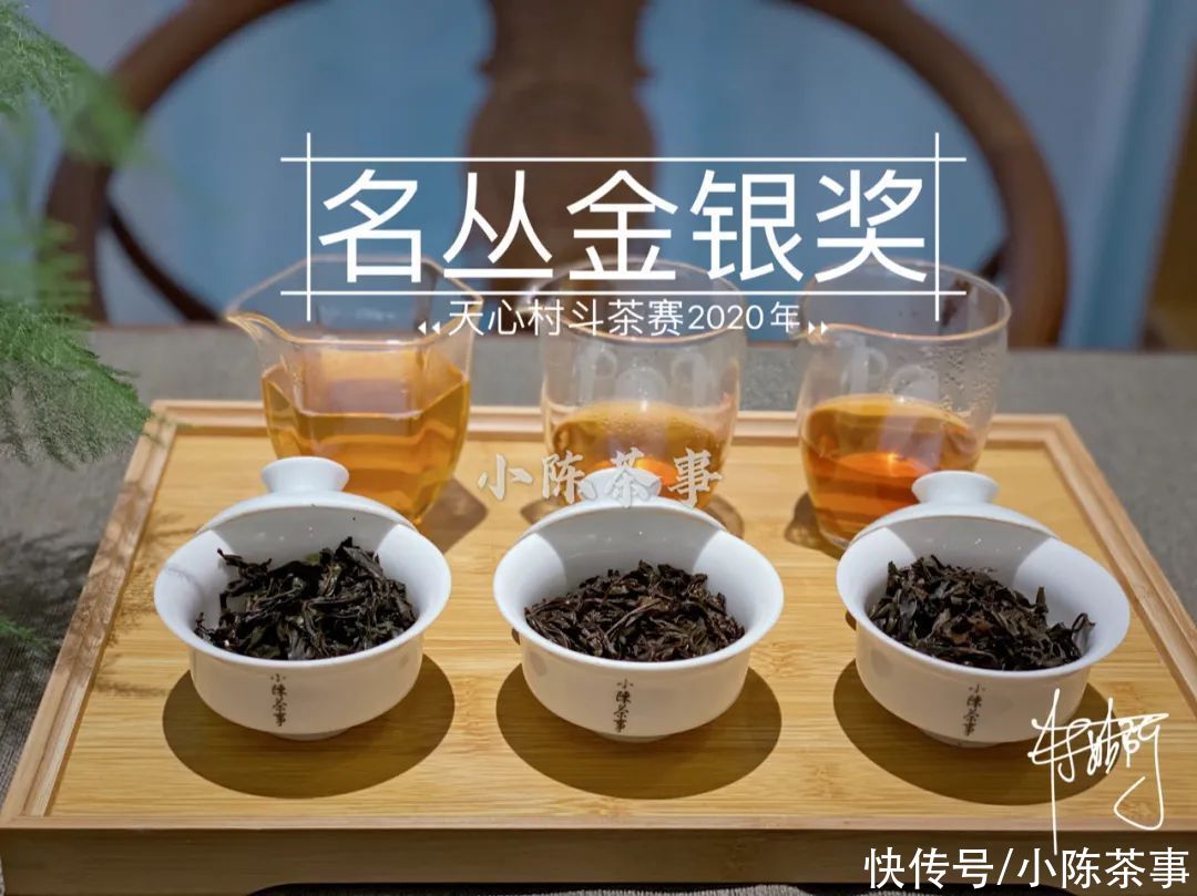  岩茶|一口气喝到正岩茶村的名丛金、银、优质获奖茶，是什么样的体验？