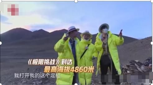 节目组又秀智商采摘捕捞国家保护的动植物,遭到专家疯狂怒怼