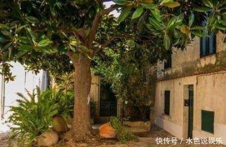 农村老人常说“房前不栽树,屋后不种花”,什么原因有何讲究