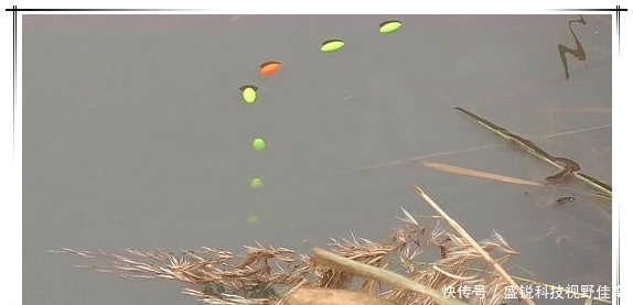 春末夏初巧寻板鲫:学会变通,找对方法