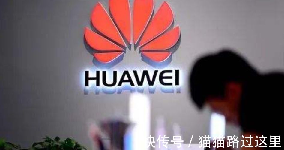 天才少年|俄罗斯00后“天才情侣”加入华为,高颜值高智商情侣,网友慕了