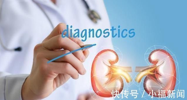 原则|得了肾病,怎么吃更护肾?医生:4句饮食口诀照着吃,不怕尿毒症