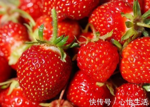 杨桃|人到中年想长寿,常吃3种食物,健脑益智,降压降脂,增强免疫力