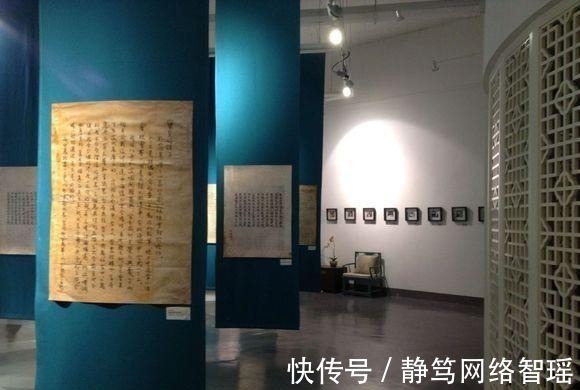 英文#植物大战僵尸:它们能够取代坚果家族?站着不动都能消灭僵尸!