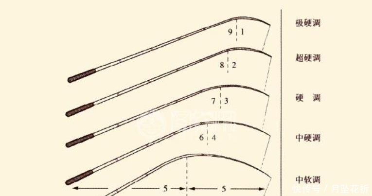 台钓鱼竿的调性和长短