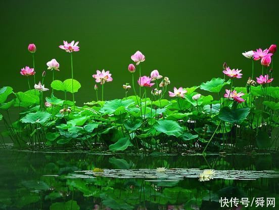 和平日|到了7月底，事业旺，横财旺，桃花灿烂，越走越顺的生肖