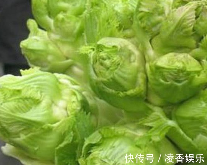 蛋白肉|女性常吃以下食物,可减脂瘦身,清理身体垃圾毒素,不妨试试