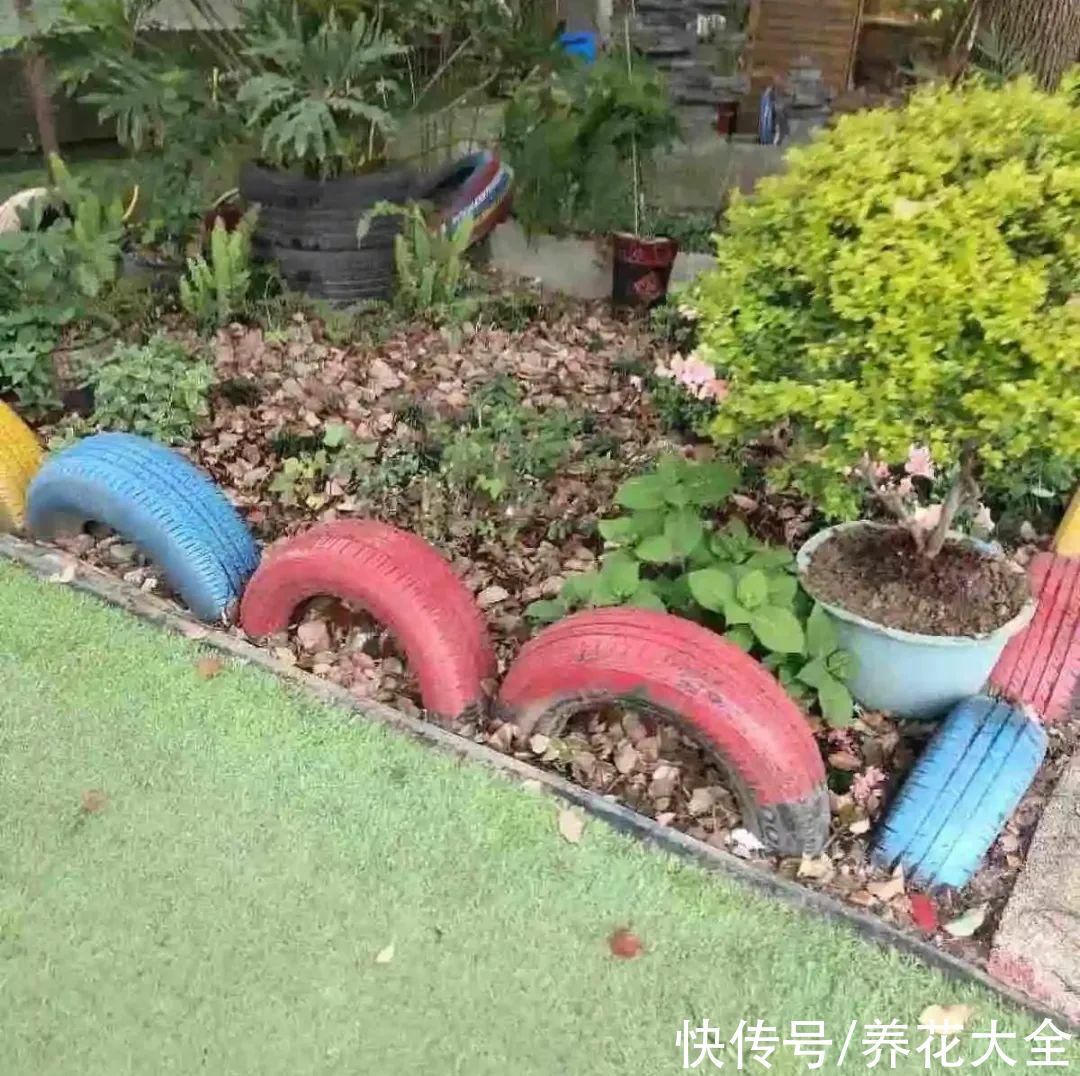 旧筷子、老干妈瓶别扔,拿来养花效果好,省下一笔养花钱